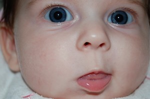 babbeyes.JPG